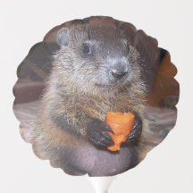 Baby Groundhog Maude-ballon