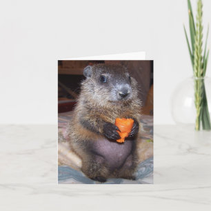 Baby Groundhog Maude Note Card Kaart