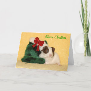 Baby Guinée Pig Joyeux Noël Carte