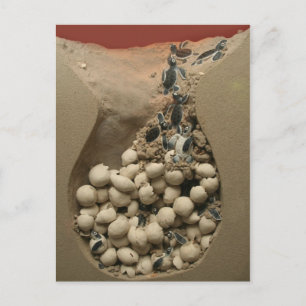 Baby hakken briefkaart