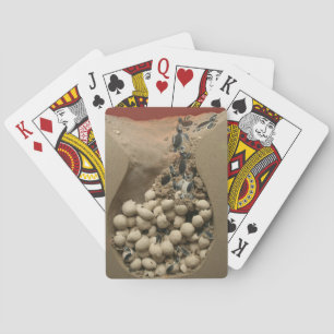 Baby hakken pokerkaarten