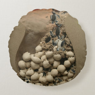 Baby hakken rond kussen