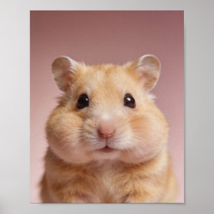 Baby Hamster Portret – Mooie Dieren Muurdecoratie Poster