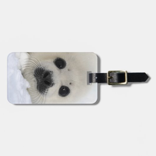 Baby Harp Seal Bagagelabel (Voorkant horizontaal)