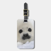 Baby Harp Seal Bagagelabel (Voorkant verticaal)