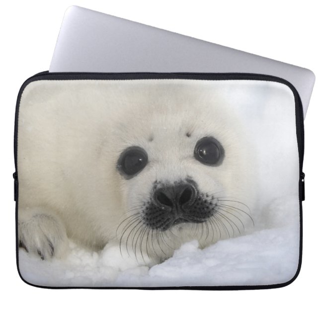 Baby Harp Seal Laptop Sleeve (Voorkant)