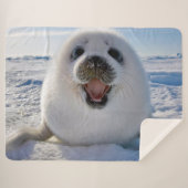 Baby Harp Seal Sherpa Deken (Voorkant (horizontaal))