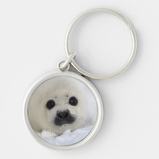 Baby Harp Seal Sleutelhanger (Voorkant)