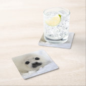 Baby Harp Seal Vierkante Kartonnen Onderzetter (Insitu)