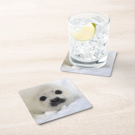 Baby Harp Seal Vierkante Kartonnen Onderzetter (Insitu)