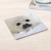Baby Harp Seal Vierkante Kartonnen Onderzetter (Schuin)