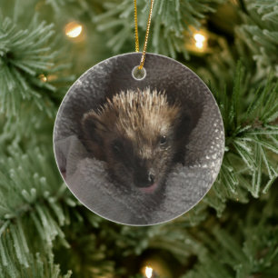 Baby Hedgehog op Blanket Ornament
