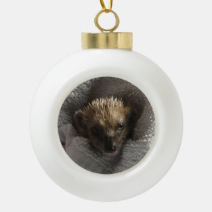 Baby Hedgehog op Blanket Snowflake Framed Ornament