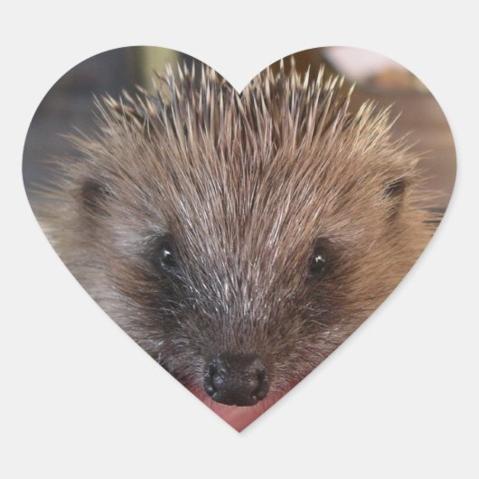 Baby Hedgehog Sticker (Voorkant)