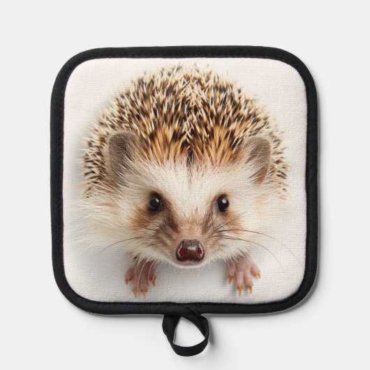 Baby Hedgel Pannenlap (Voorkant)