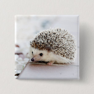 Baby Hedgel Vierkante Button 5,1 Cm
