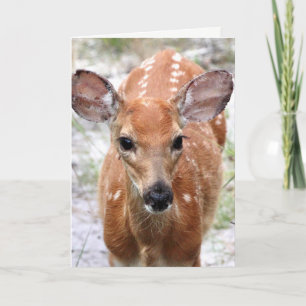 Baby Herten Lege Wenskaart Kaart