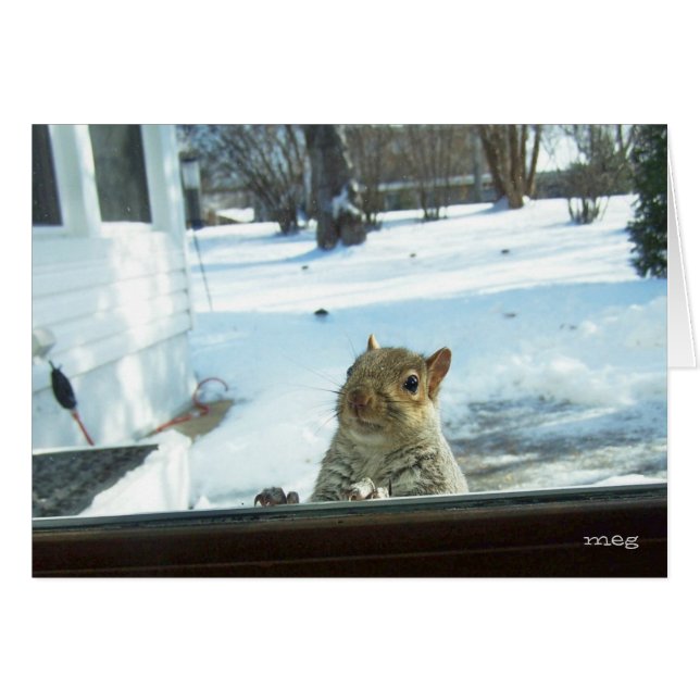 Baby Het is buiten koud (Voorkant Horizontaal)