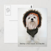 Baby het is buiten koud briefkaart (Voorkant / Achterkant)
