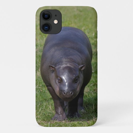 Baby Hippo iPhone 11 Coque (Dos)