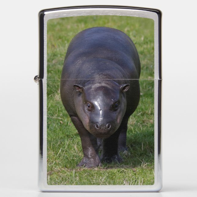 Baby Hippo Lighter (Voorkant)