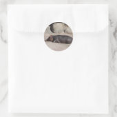 Baby Hippo Ronde Sticker (Tas)