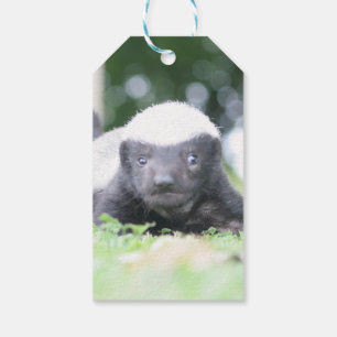 Baby honingbadger cadeaulabel