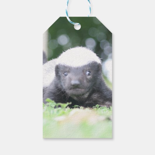 Baby honingbadger cadeaulabel (Achterkant)
