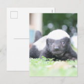 Baby Honingdas op groene grasfoto Feestdagenkaart (Voorkant / Achterkant)