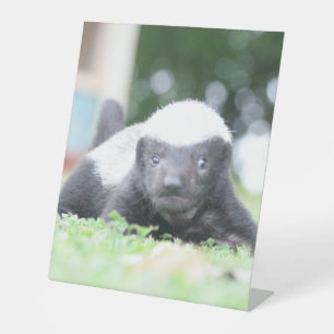 Baby Honingdas op groene grasfoto Reclamebord Met Voetstuk