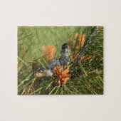 Baby Hummingbird Fed by Moeder Legpuzzel (Horizontaal)