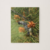 Baby Hummingbird Fed by Moeder Legpuzzel (Verticaal)