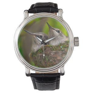 Baby hummingbirds horloge