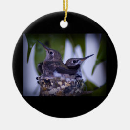 Baby Hummingvogels Keramisch Ornament