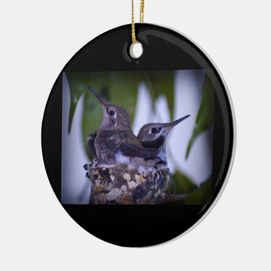 Baby Hummingvogels Keramisch Ornament (Links)