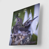 Baby Hummingvogels Vierkante Klok (Hoek)