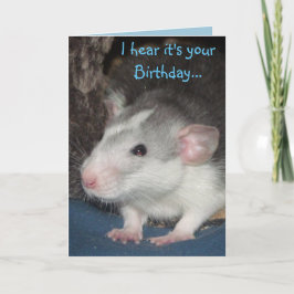 baby husky Dumbo rat Verjaardagskaart Kaart
