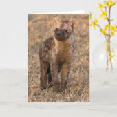 Baby Hyena Kaarten (Gele Bloem)