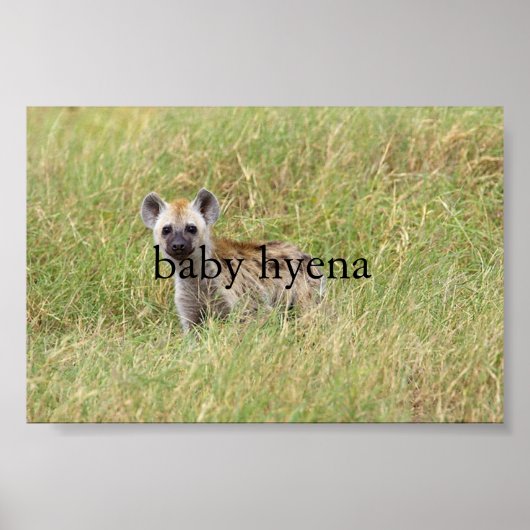 baby hyena poster (Voorkant)