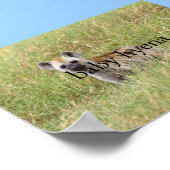 baby hyena poster (Hoek)