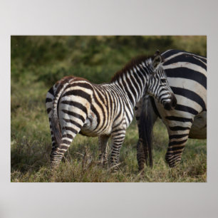 Baby in Afrika Poster
