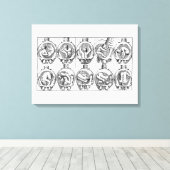 Baby in baarmoeder  vroedvrouw anatomie illustrati canvas afdruk (Insitu (Houten vloer))