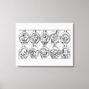 Baby in baarmoeder vroedvrouw anatomie illustrati canvas afdruk