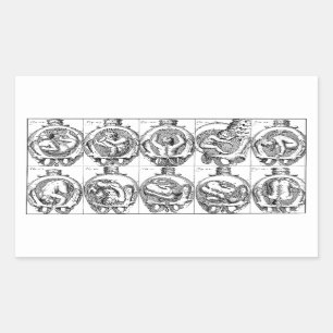 Baby in baarmoeder vroedvrouw anatomie illustrati rechthoekige sticker