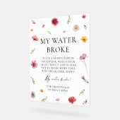 Baby in Bloom Baby shower My Water Broke Jeu (Angle)