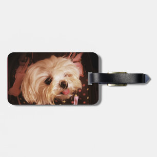 Baby in een Bag Maltees Puppy Bag Label Bagagelabel