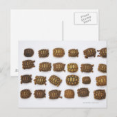 Baby in rijen briefkaart (Voorkant / Achterkant)