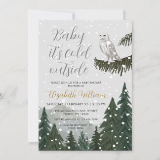 Baby It’s Cold Outside Snowy Owl Baby Shower Kaart