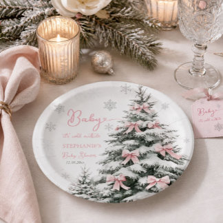 Baby It's Cold Outside Winter Girl Baby Shower Papieren Bordje