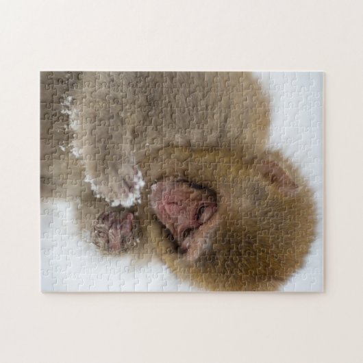 Baby Japans Macaque | Sneeuwaap Legpuzzel (Horizontaal)